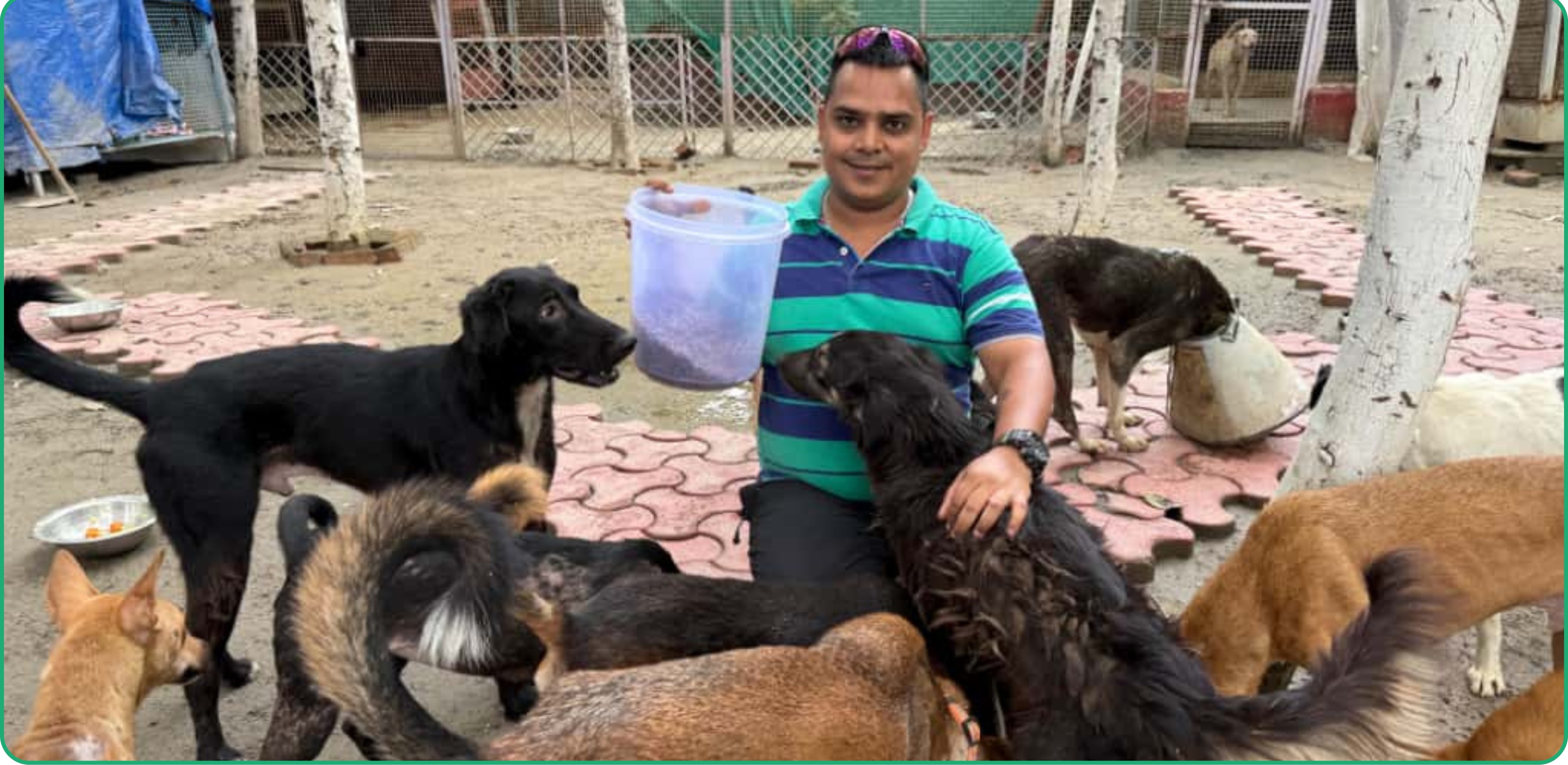 Animal Care